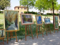 /album/galleria-fotografica/immagine-056-jpg/